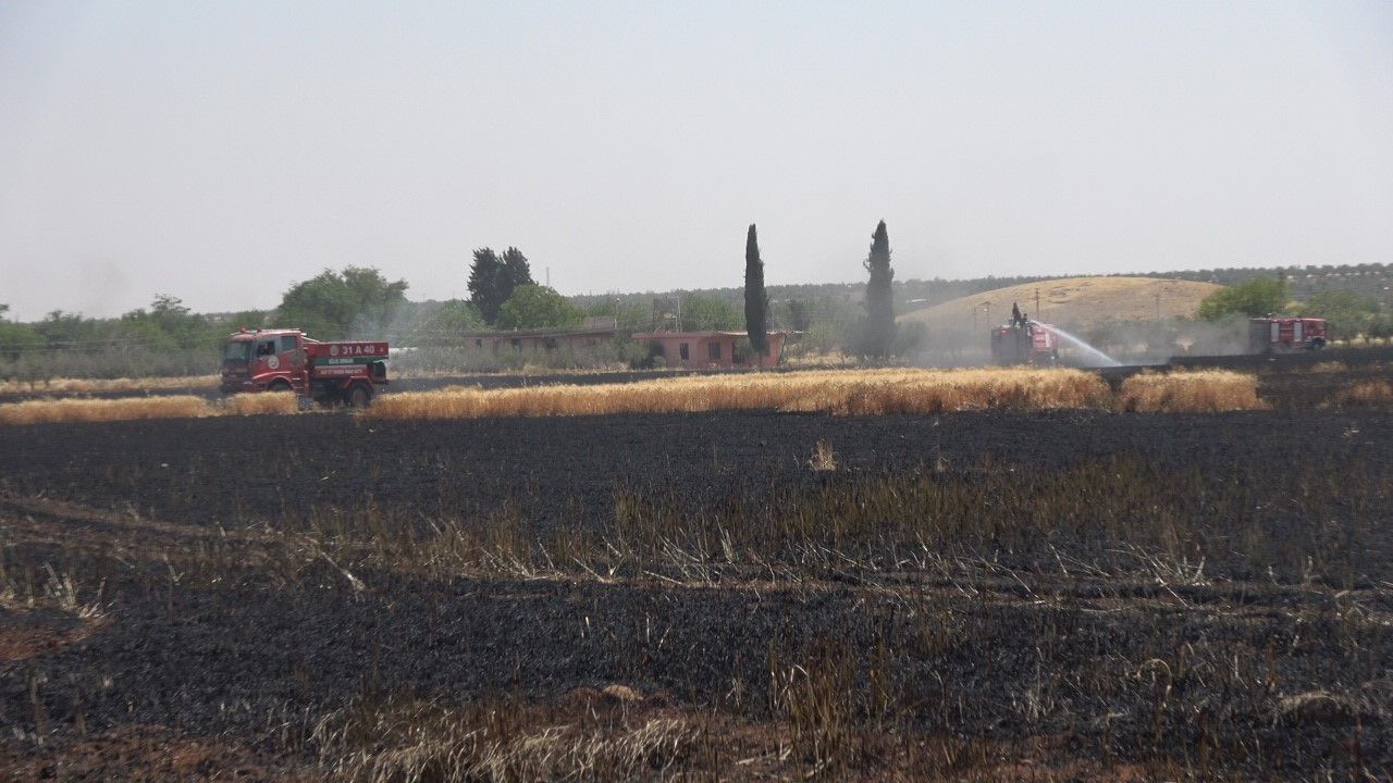 Kilis’te buğday tarlasında yangın