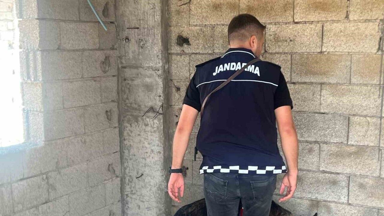 Kilis’te okul önlerinde trafik ve asayiş tedbirleri uygulandı