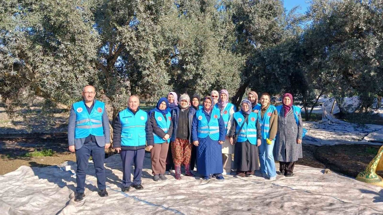 Yatağan'da zeytin hasadı ve bereket duası yapıldı