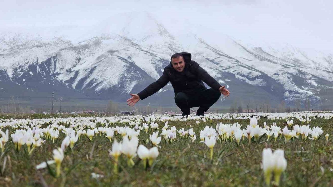 Bitlis'te baharın müjdecisi kardelenler açtı