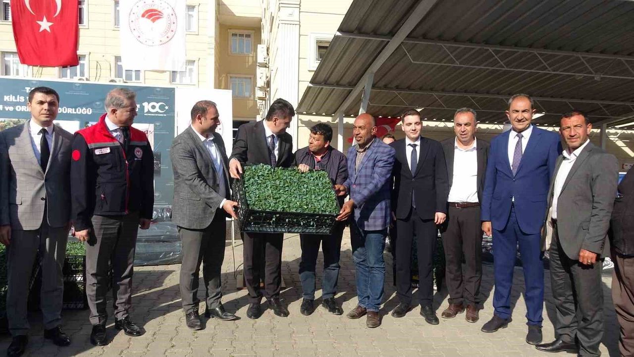 Kilis'te 320 çiftçiye üzüm şalı, 250 çiftçiye 400 bin fide desteği