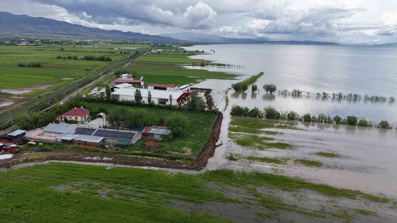 Elazığ'da üreticiler tedirgin: Çiftlikleri suyun altında kalmasın diye nöbet tutuyorlar