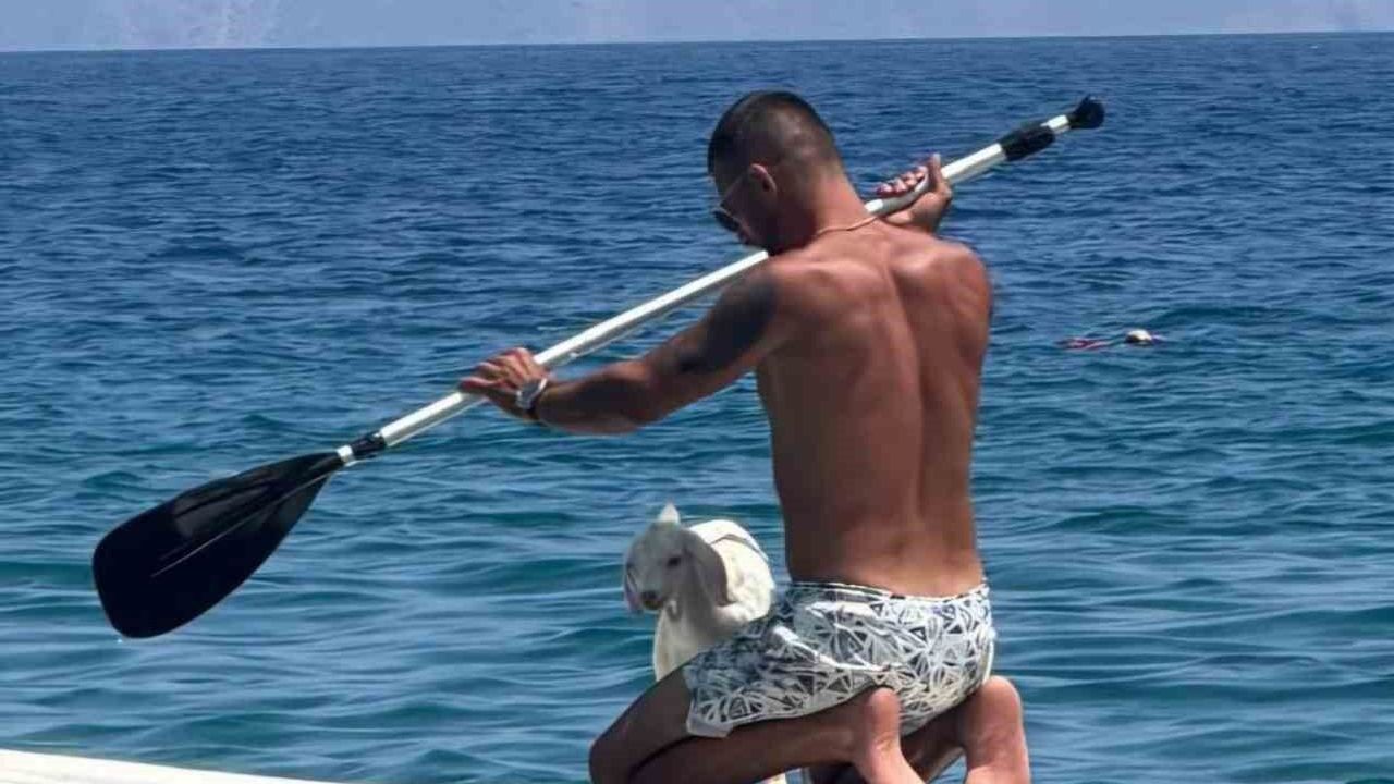 Kanodaki keçi yavrusu ilgi odağı oldu