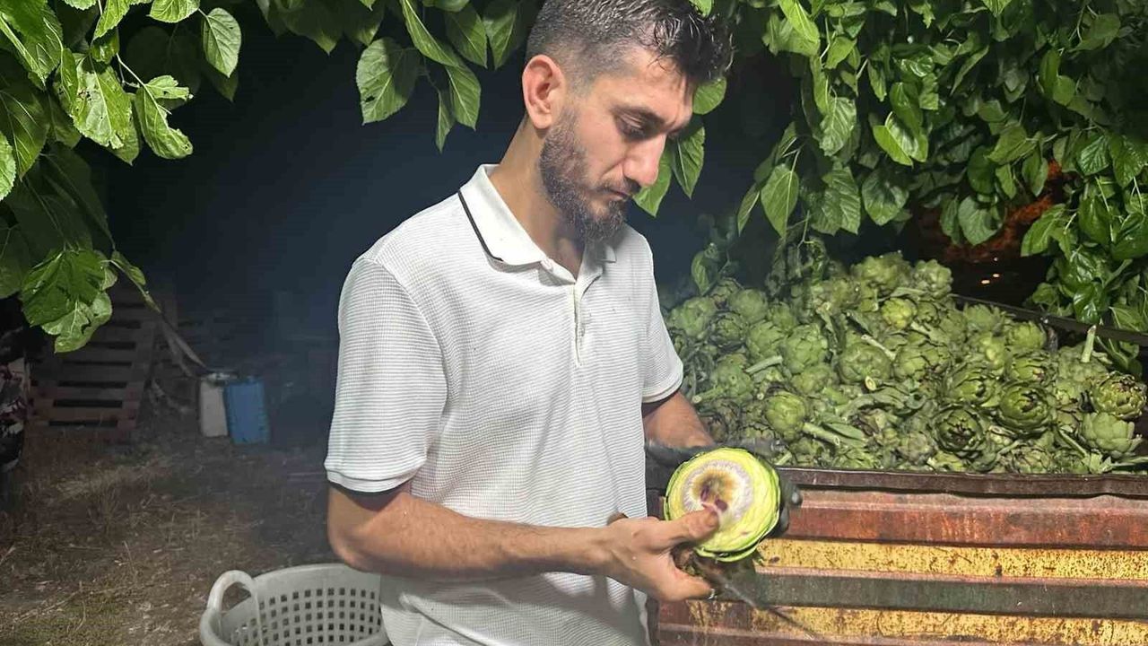 Ailecek enginar soyucular: Soyması 10 saniye sürüyor
