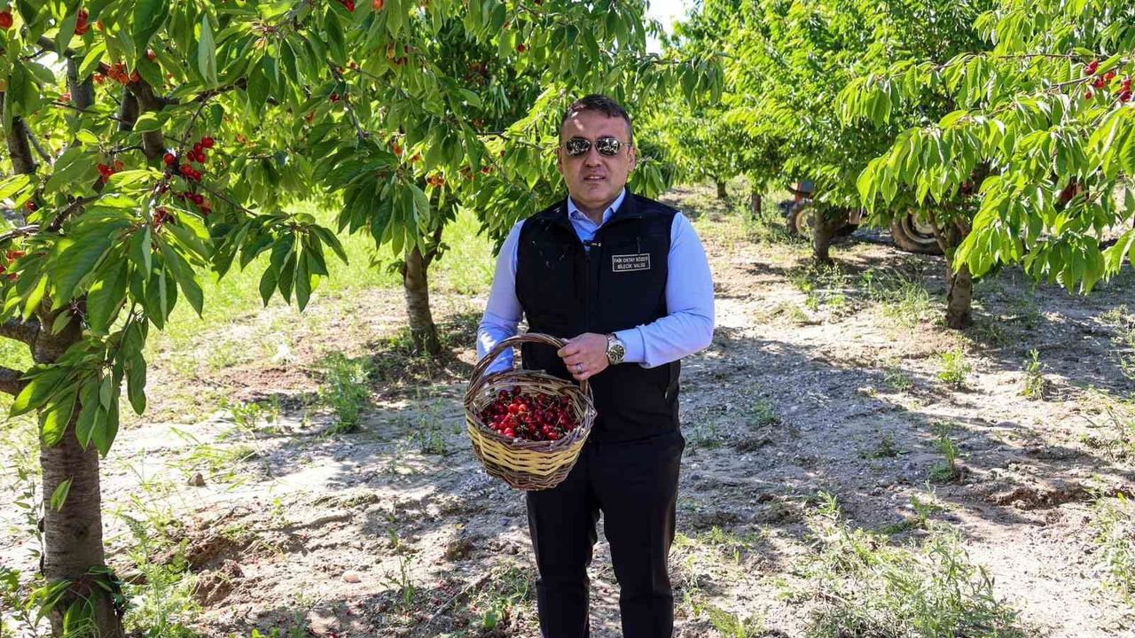 Bilecik'te 27 bin dekarda yıllık yaklaşık 15 bin 500 ton kir