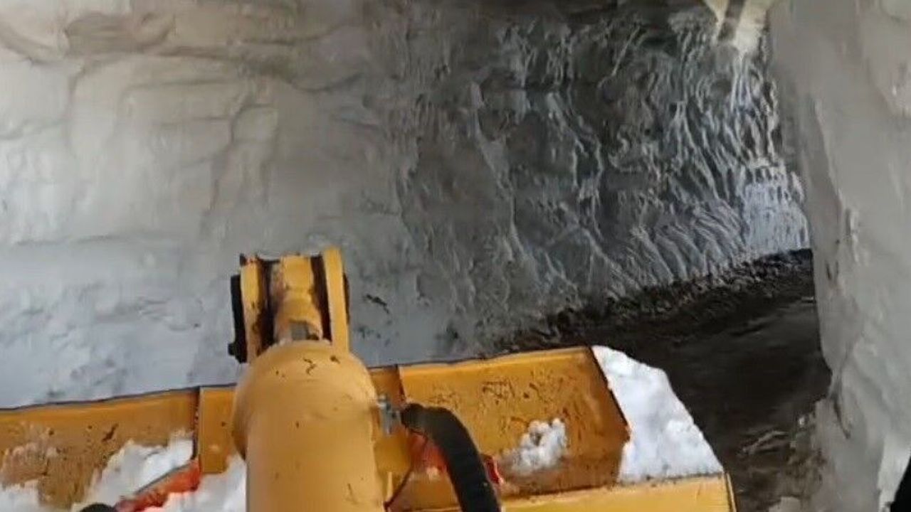 Bingöl'de haziranda da karla mücadele çalışmaları sürüyor