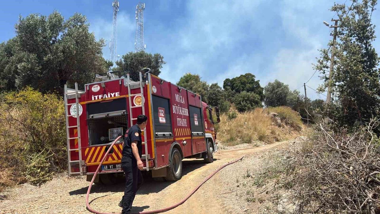 Bodrum'da çıkan yangın büyümeden söndürüldü