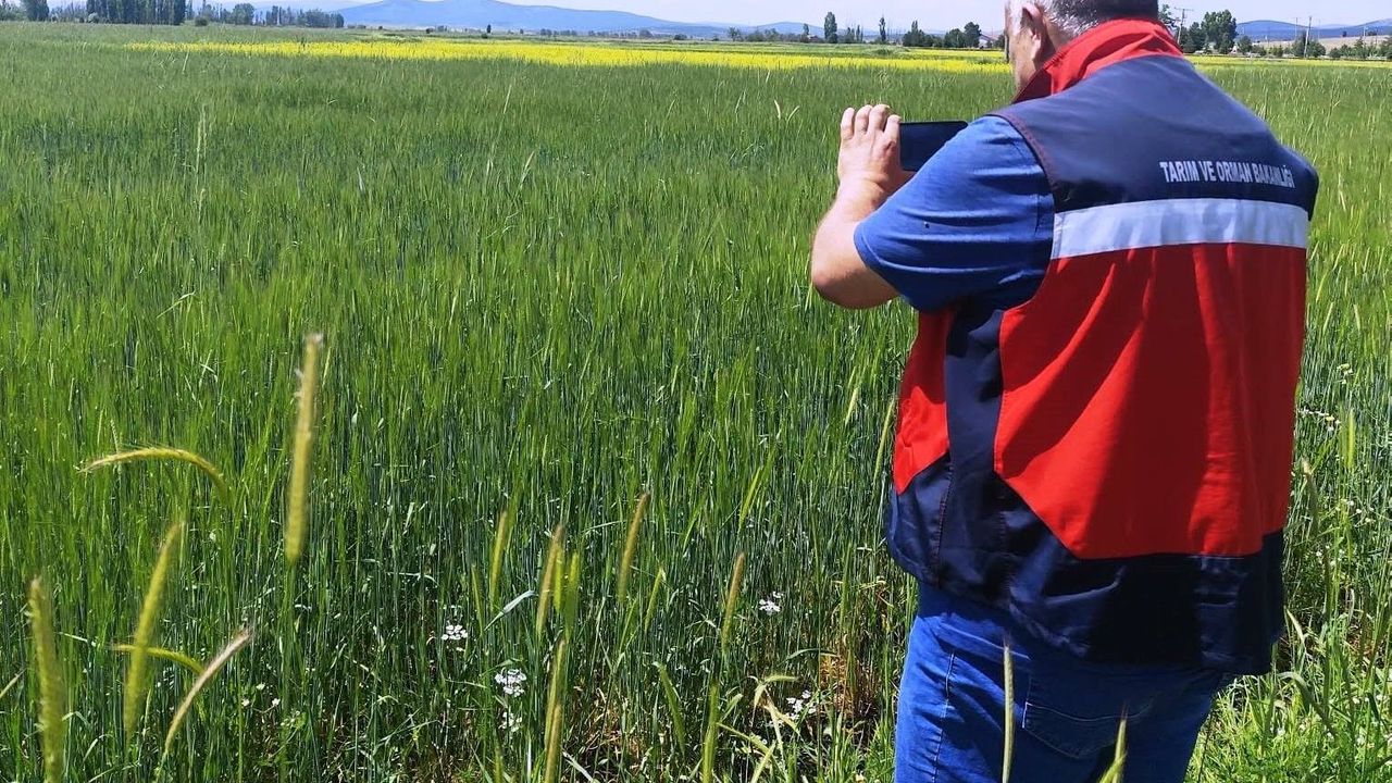 Çavdarhisar'da Referans Parsel Çalışmaları sürüyor