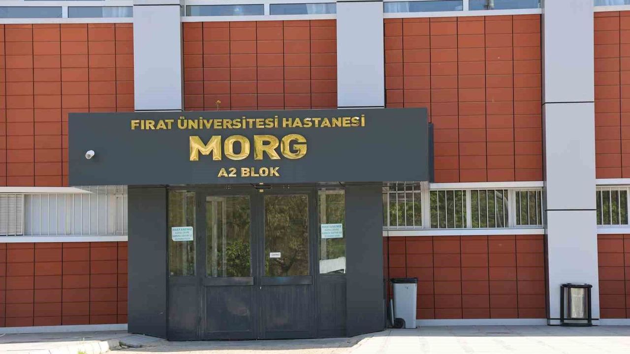 Elazığ'da bıçaklanan şahıs, hayatını kaybetti
