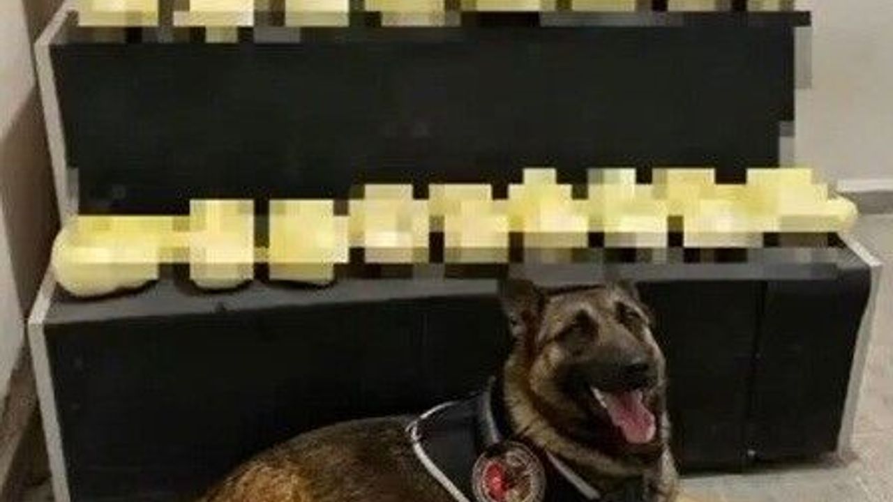 Erzincan'da 20,1 kilogram metamfetamin ele geçirildi