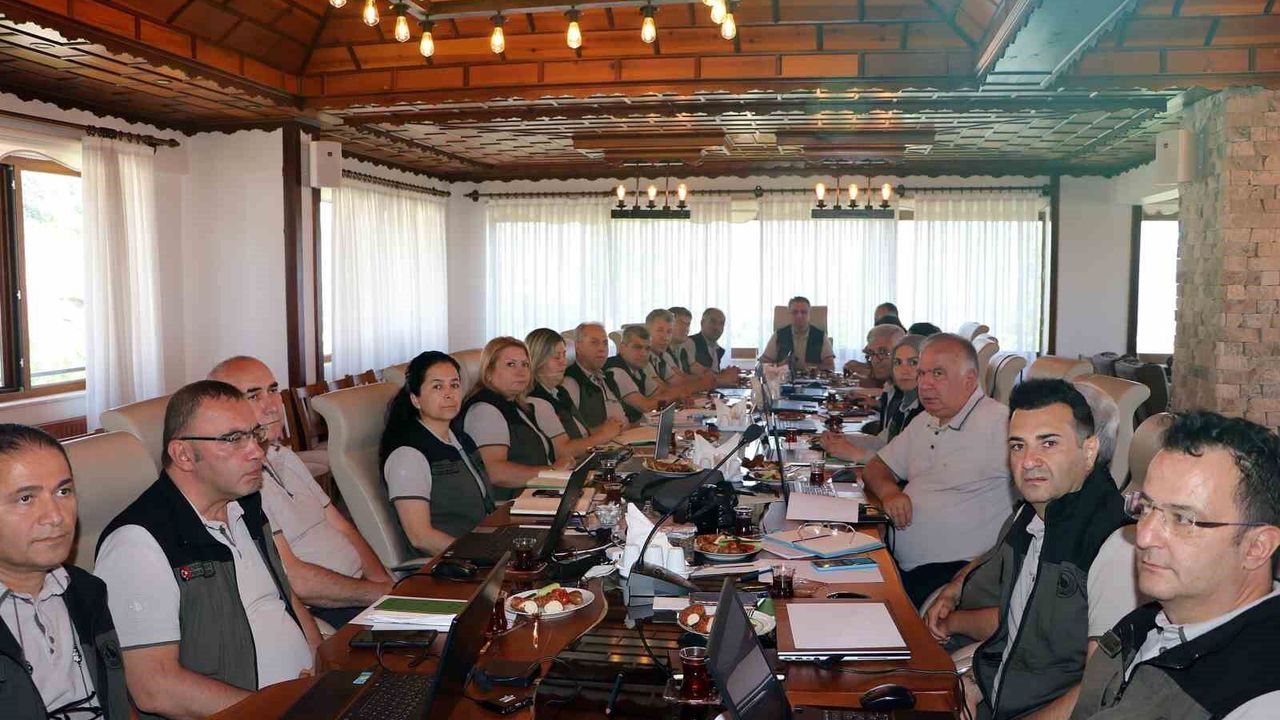 Eskişehir Orman Bölge Müdürlüğü, yılın ilk 6 ayını değerlend