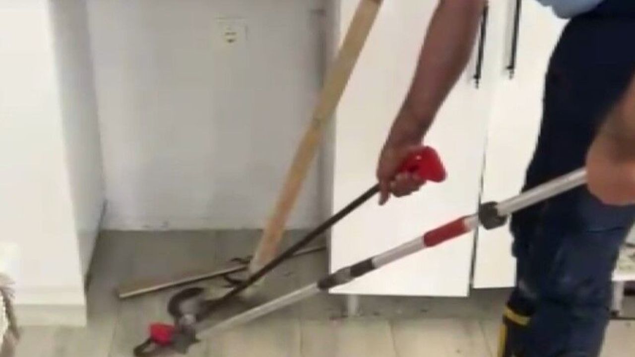 Eve giren yılanı itfaiye ekipleri çıkardı
