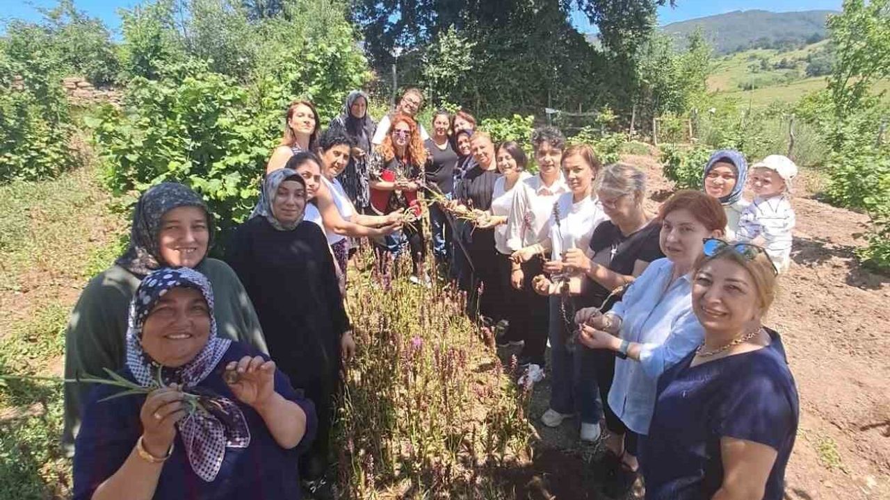 Kadın üreticilere 7 bin salep fidesi desteği