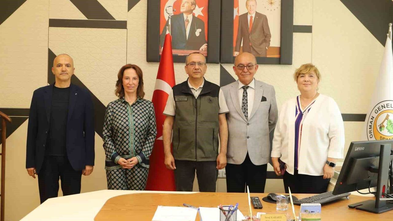 Kütahya ormanları için ortak vizyon buluşması