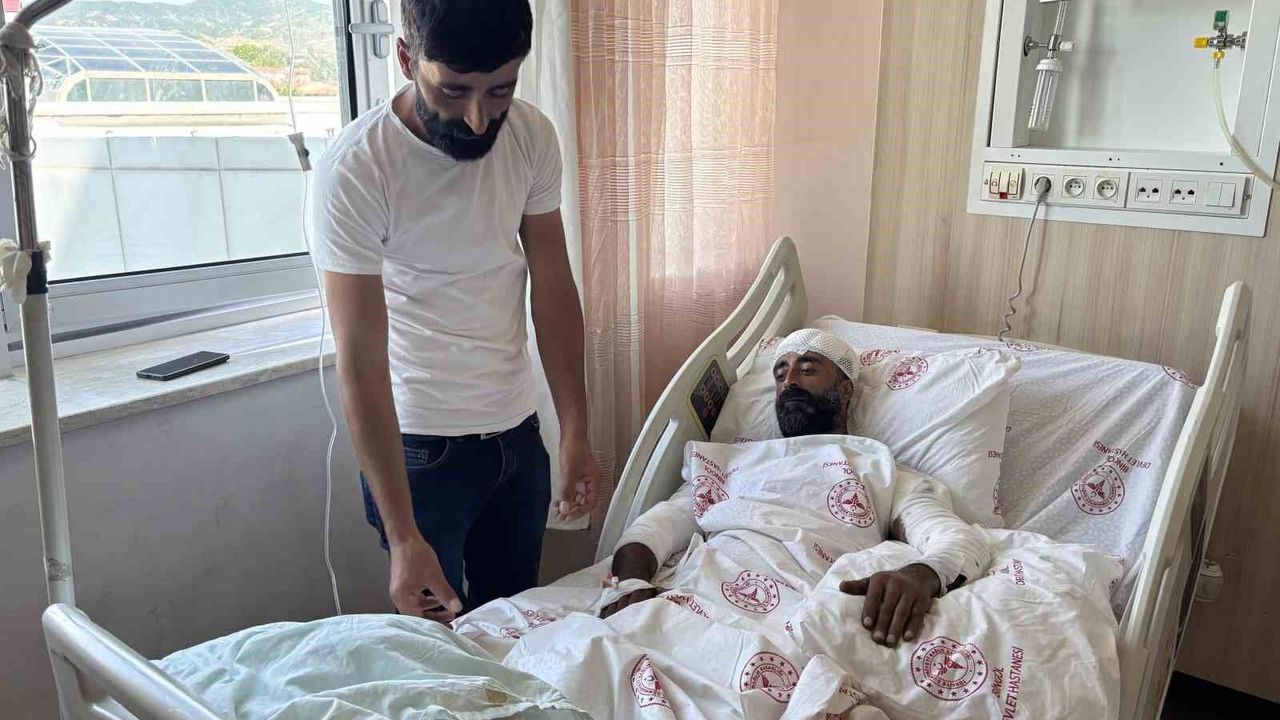 Mantar toplarken ayı saldırısına uğradı, kollarıyla başını s
