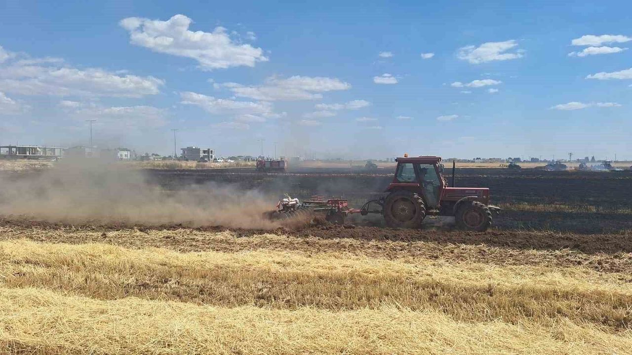 Mardin'de 80 dönüm buğday ekili alan küle döndü