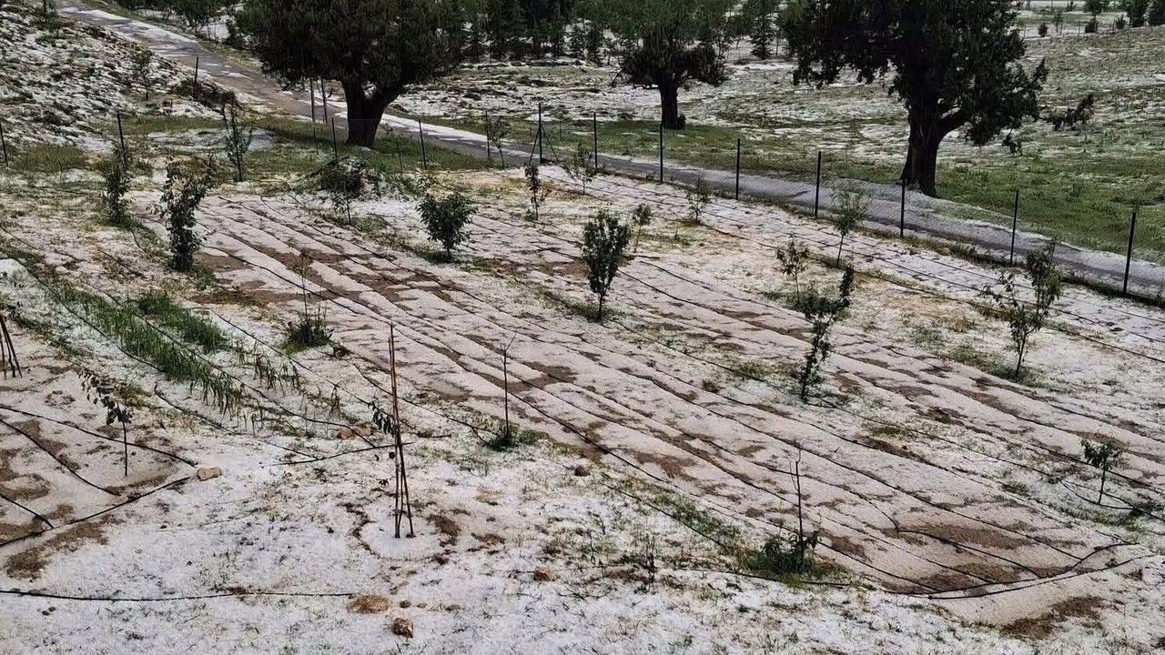 Mersin Erdemli'de dolu tarım alanlarına zarar verd