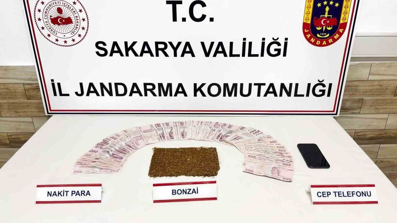 Sakarya'da 3 ilçede uyuşturucu operasyonu: 4 tutuklama