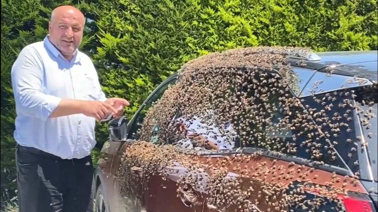 Şehir merkezinde otomobili arılar sardı