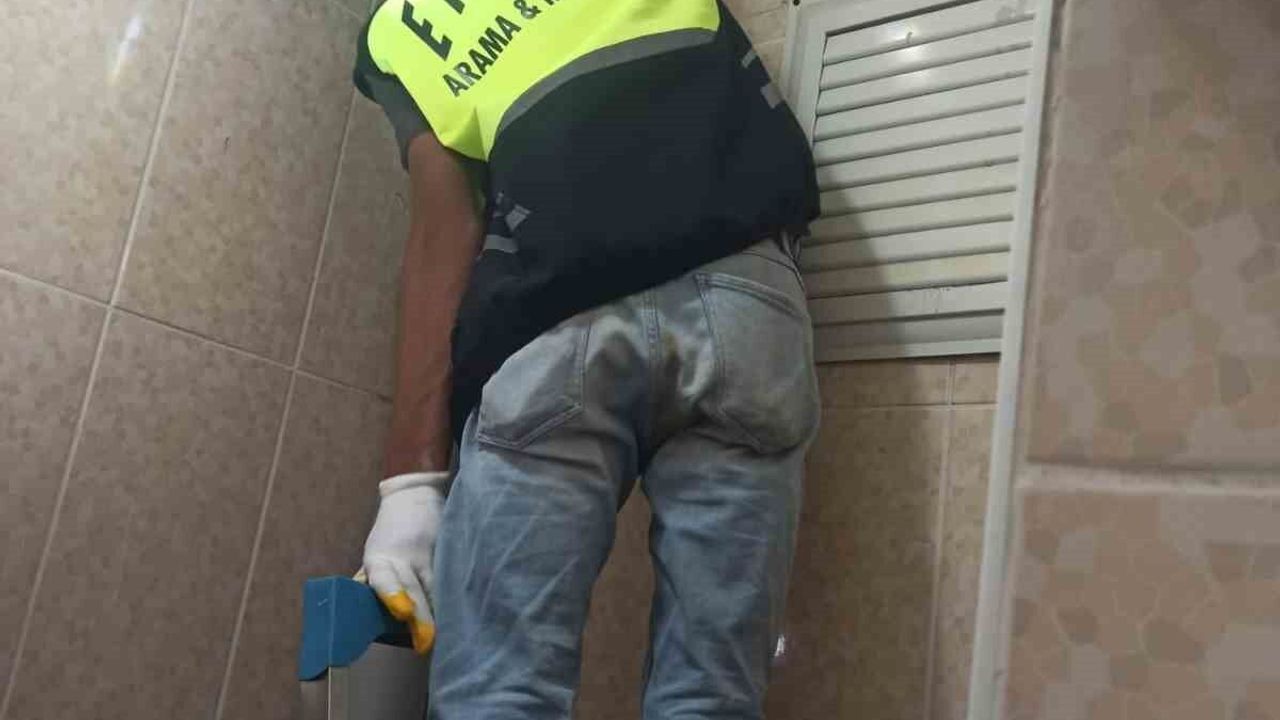 Siirt'te lavabo borusuna sıkışan yavru kedi kurtarıldı