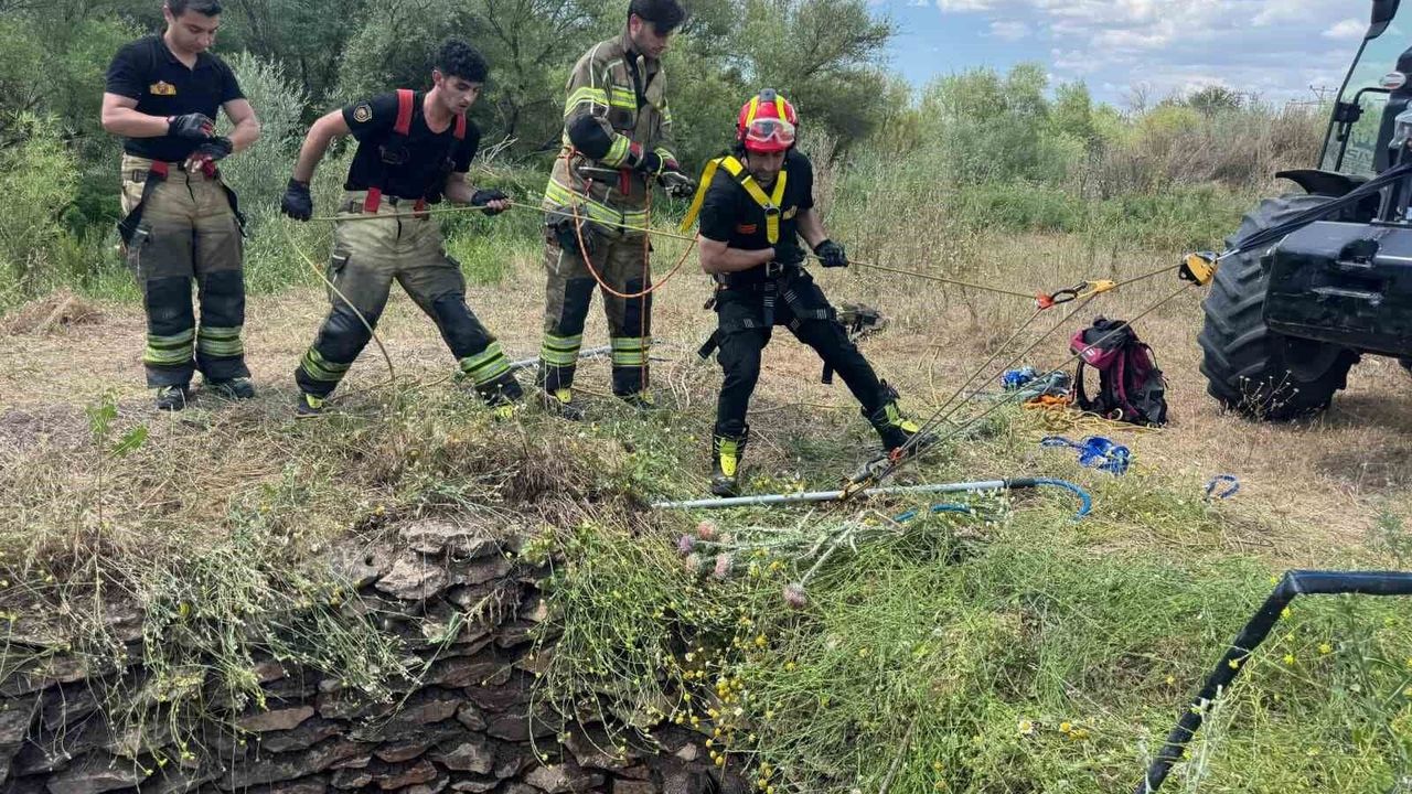 Su kuyusuna düşen yaban domuzu, itfaiye ekiplerince kurtarıl