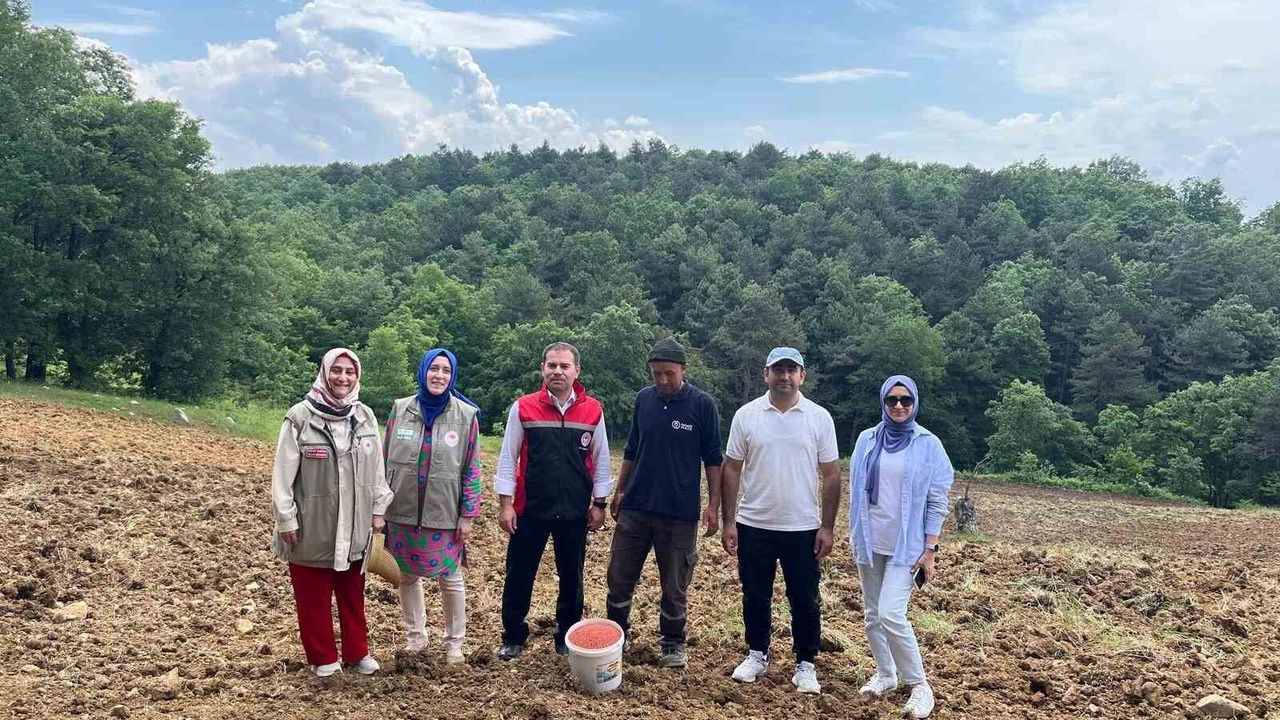 'TAKE' projesiyle tarım arazileri boş kalmayacak