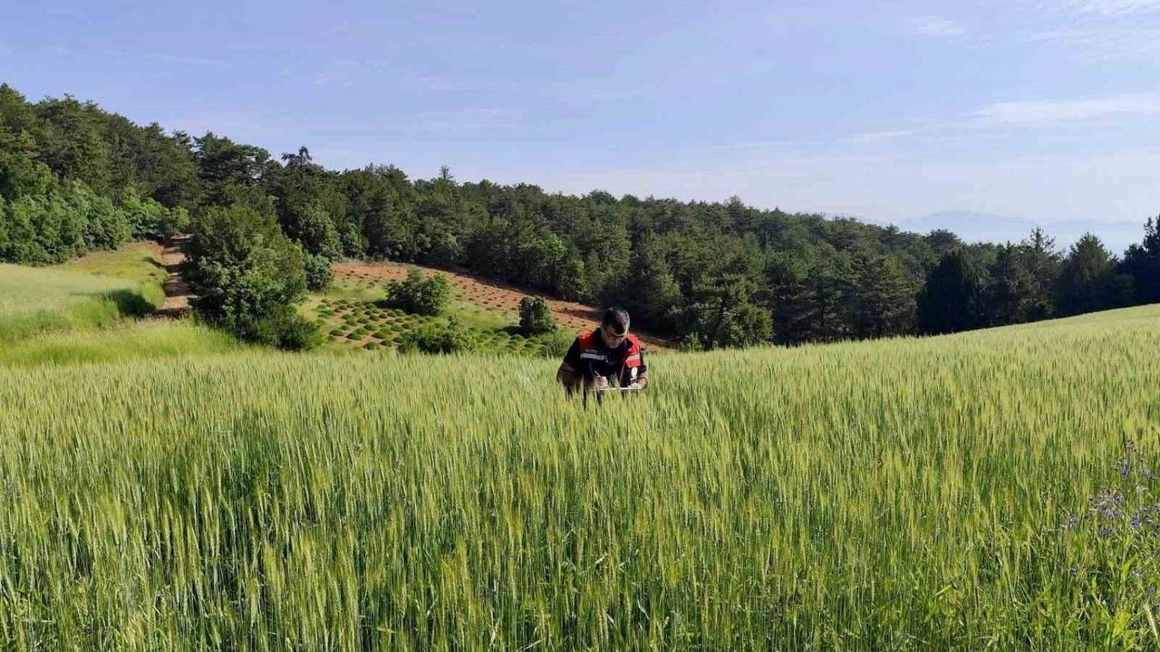 Tarımsal üretimin planlı şekilde yürütülmesi için çalışmalar