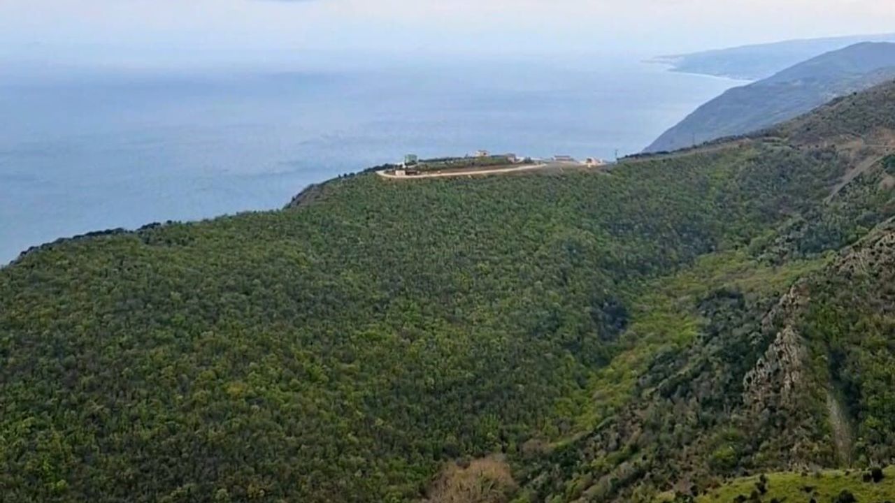 Tekirdağ'da ormanlara giriş 12 Hazirandan itibaren yasakland
