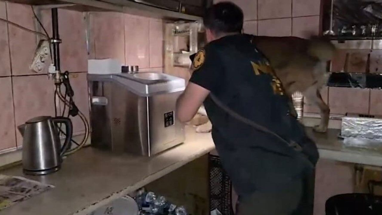 Bitlis'te uyuşturucu operasyonunda 11 tutuklama