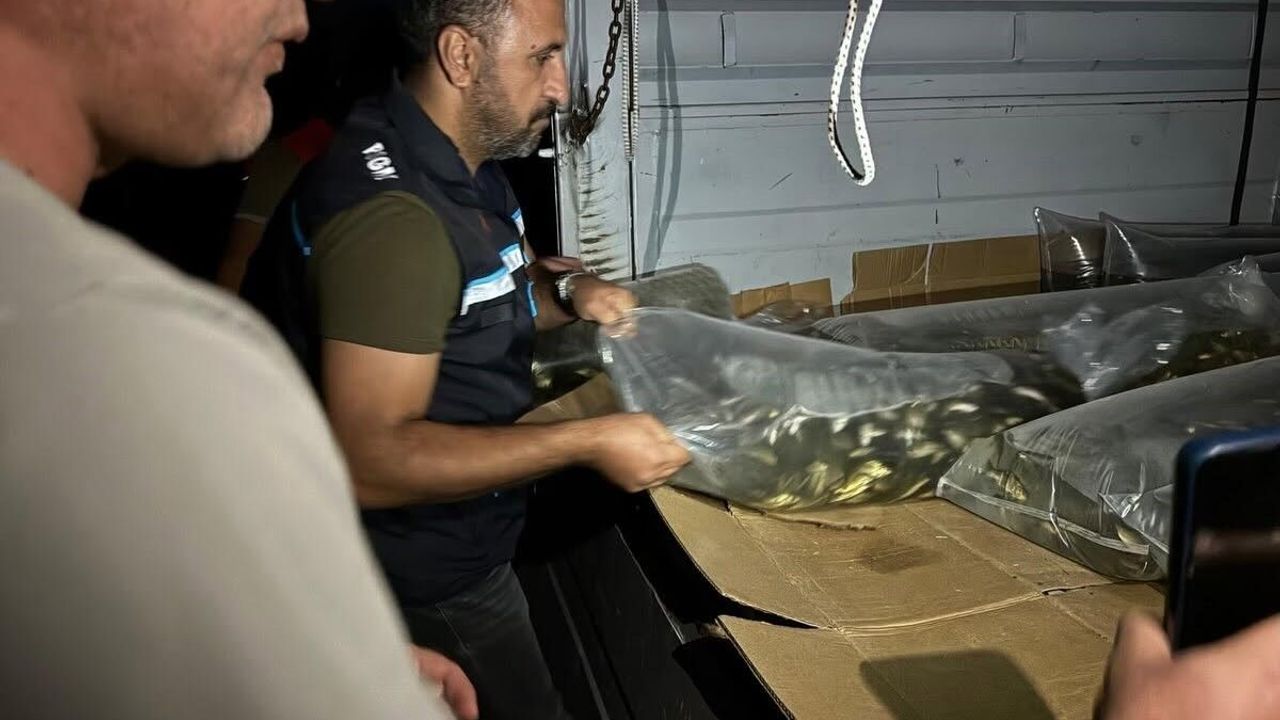 Bitlis'te göl ve göletlere 1 milyon 397 bin 500 yavru sazan bırakıldı