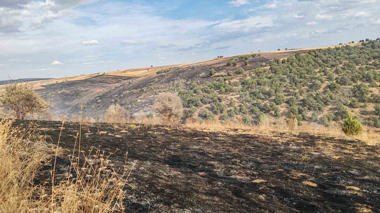 Yalıhüyük'teki orman yangını söndürüldü
