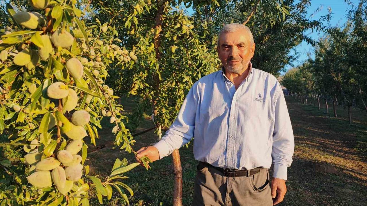 Almanya'daki doktorun tavsiyesiyle memleketine dönen kişi üretici oldu
