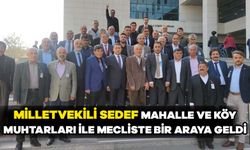Milletvekili Sedef mahalle ve köy muhtarları ile mecliste bir araya geldi
