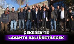 Çekerek'te Lavanta balı üretilecek