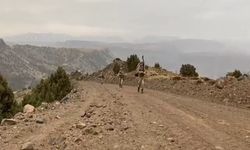 Jandarma komandolardan bahar operasyonu