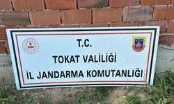 Tokat’ta 188 kök kenevir ele geçirildi