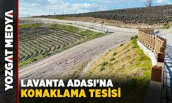 Lavanta Adası’na konaklama tesisi