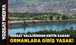 Yozgat Valiliğinden kritik karar: Ormanlara giriş yasak!