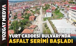 Yurt Caddesi Bulvarı'nda asfalt serimi başladı