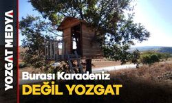 Burası Karadeniz değil Yozgat 
