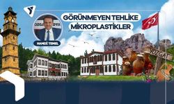 Hamdi Temel | Görünmeyen tehlike mikroplastikler