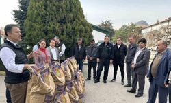 Afyonkarahisar 9 bin 250 gram korunga tohumu dağıtıldı