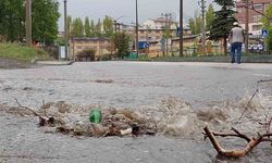 Erzurum’da yağmur etkili oldu