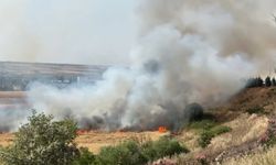 Diyarbakır’da 300 dönüm ekili buğday yandı