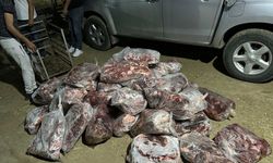 İncirliova’da 1 ton domuz eti ele geçirildi