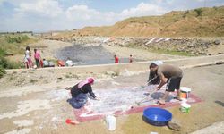 Muş’ta Kızılağaç deresinde renkli görüntüler: Kadınlar halı yıkadı, çocuklar yüzdü