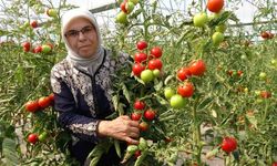 Koparmaya dahi kıyamıyorlardı, hobileri tutkuya dönüştü