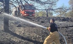 Antakya’da bahçe yangını