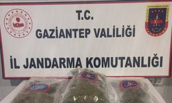 Gaziantep’te 1 kilo esrar ele geçirildi