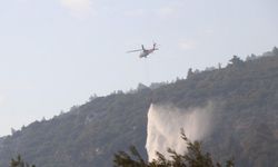 Gökova Körfezi’ndeki yangını söndürme çalışmaları sürüyor